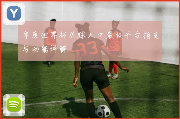 年度世界杯买球入口最佳平台指南与功能详解